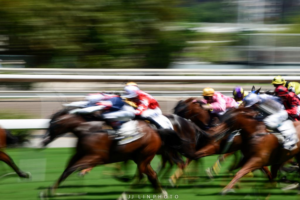 香港賽馬場_300mm f/20 1/20sec ISO100